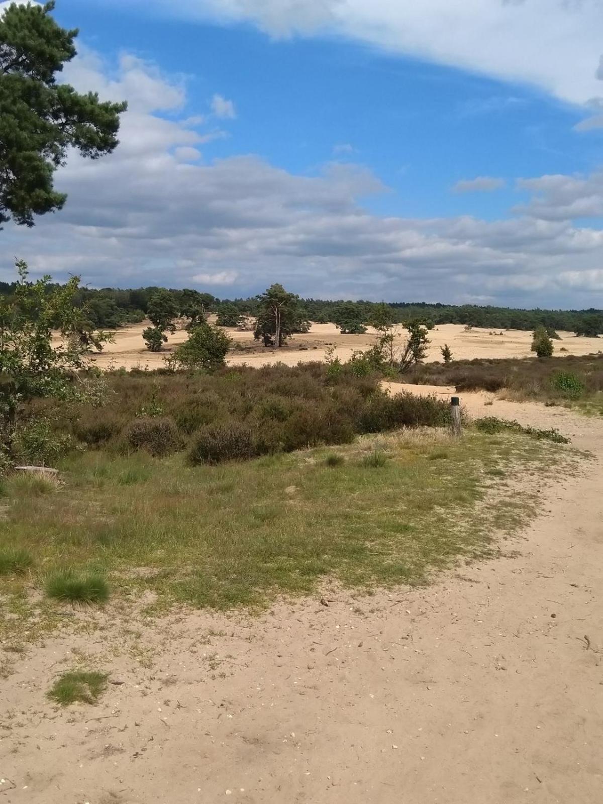 Bed And Breakfast De Oude Dorpsbakker Ellecom Bagian luar foto